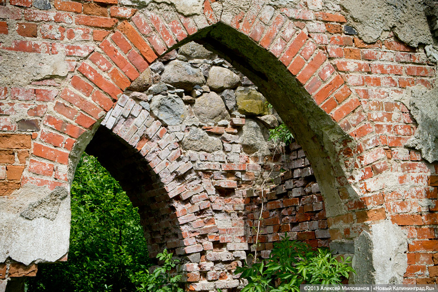 Забытые могилы: кирха и кладбище в поселке Тишино зарастают деревьями