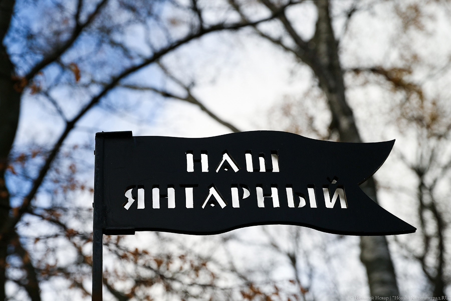 Крупин рассказал, где в Янтарном установят новые общественные туалеты