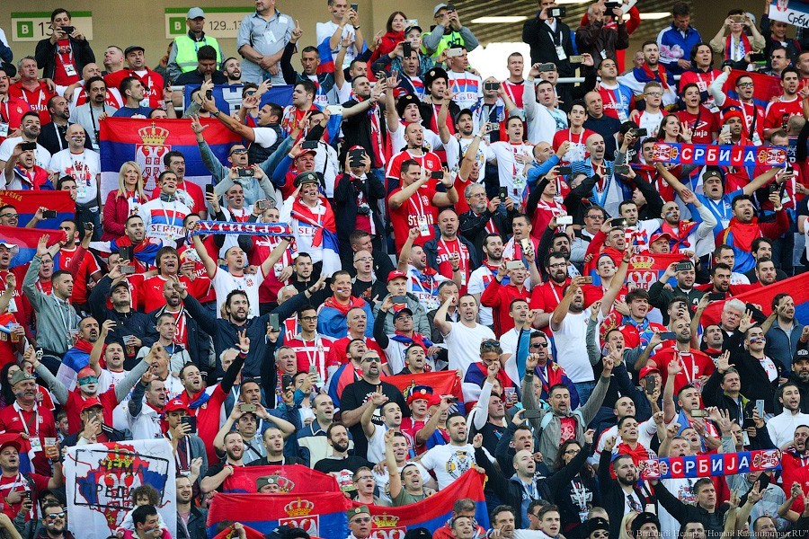 ФИФА начала расследование после матча Сербия-Швейцария в Калининграде
