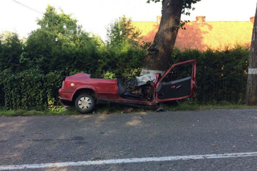 Водитель авто, влетевшего в дерево под Багратионовском, умер в больнице
