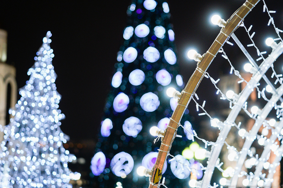 Власти Калининграда: надо украсить микрорайоны ради «децентрализованного» Нового года