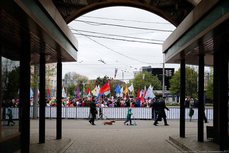 Холодный Первомай: как в Калининграде прошла традиционная демонстрация