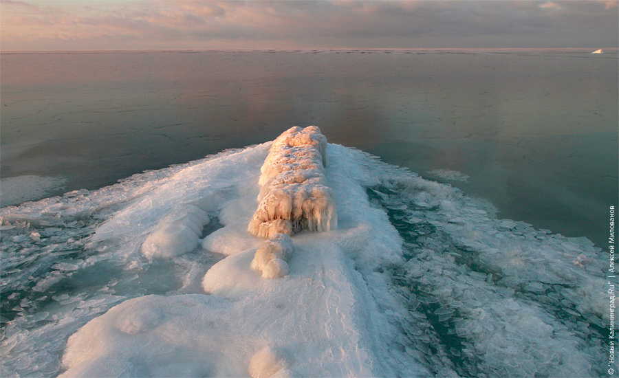 "Сцены у моря": фоторепортаж "Нового Калининграда.Ru"