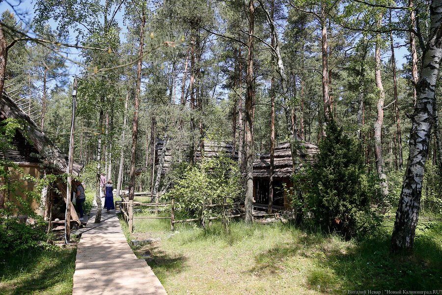 Олаф и его хирд: деревня викингов на Куршской косе стала обитаемой