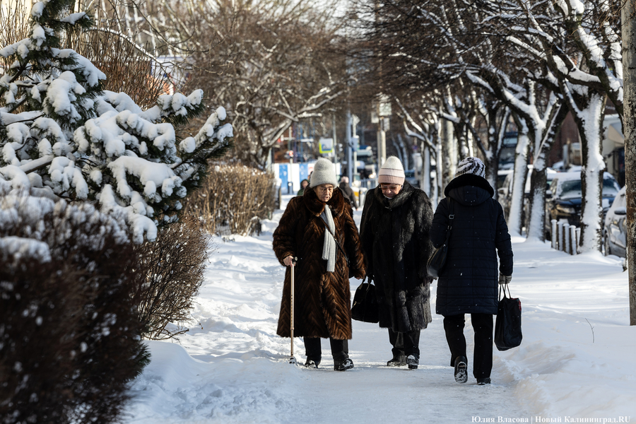 Внезапный снег: Калининград опять оказался не готов к осадкам (фото)