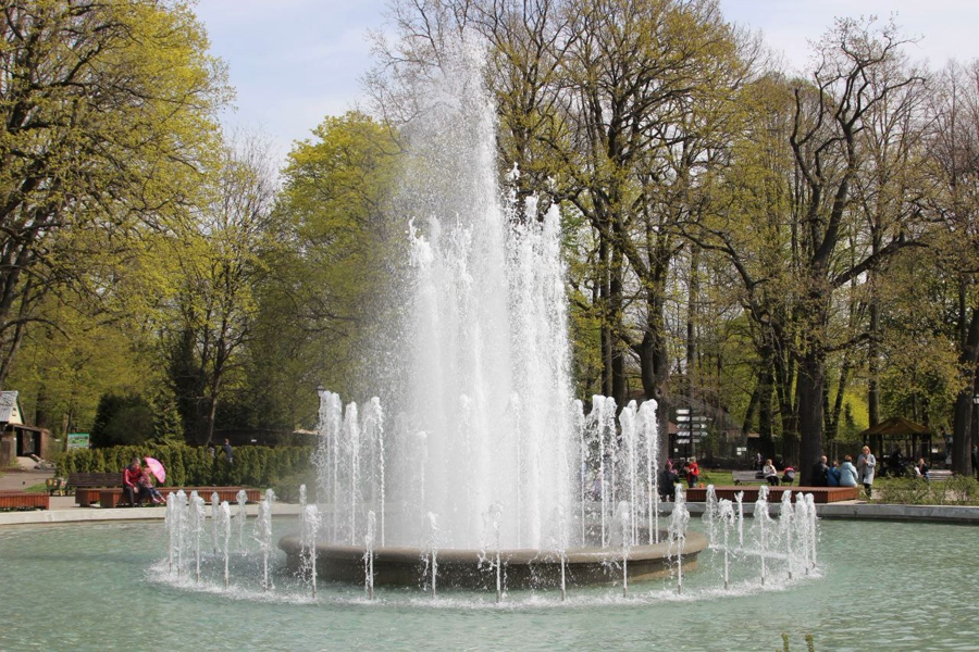 Фото: Калининградский зоопарк