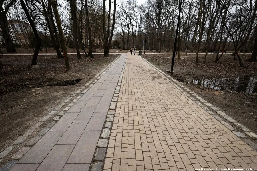 На ремонт ограждения и покрытия площадок в Ашманн-парке выделили 30 млн