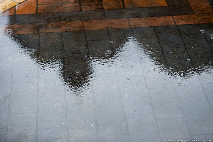 Синоптики обещают калининградцам дожди и жару