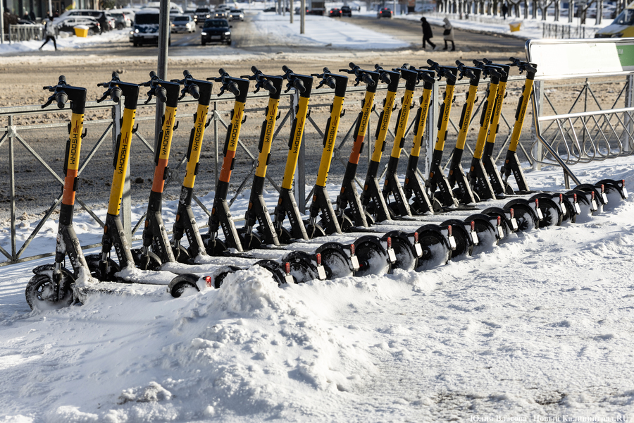 Рольбинов про электросамокаты: проблемы возникают из-за частных владельцев