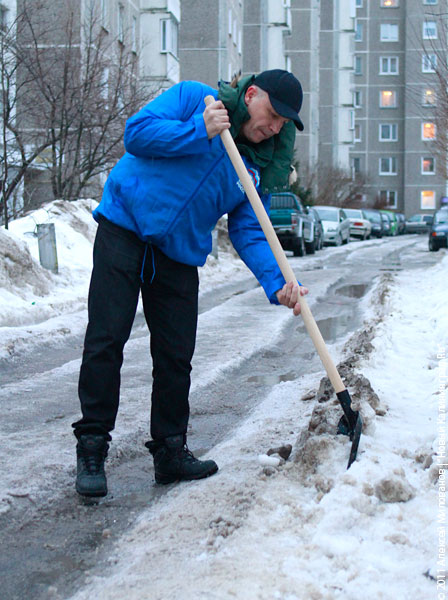 "В руки - лопаты": фоторепортаж "Нового Калининграда.Ru"