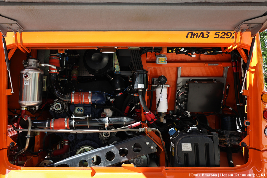 «Не надо искать особенностей»: в Калининграде на линию выпустили новые ЛиАЗы (фото)