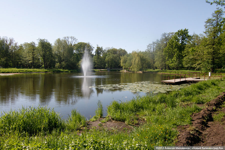 «Город заборов. Зеленоградск накануне пляжного сезона»: фоторепортаж