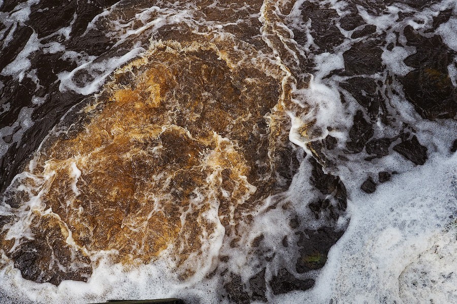 «Операция спасения»: в Полесском районе осушают первый польдер (фото)