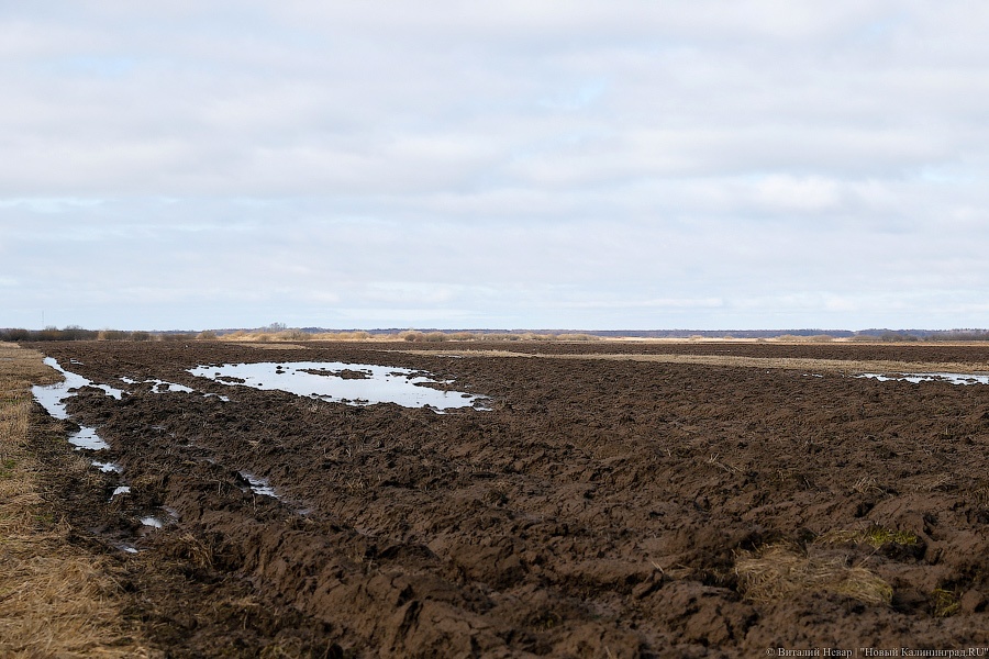 Литва готовится ввести режим ЧС из-за залитых водой полей