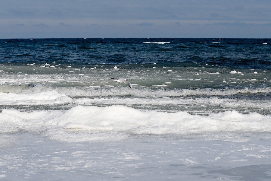 В Балтийском море затонул корабль из Польши