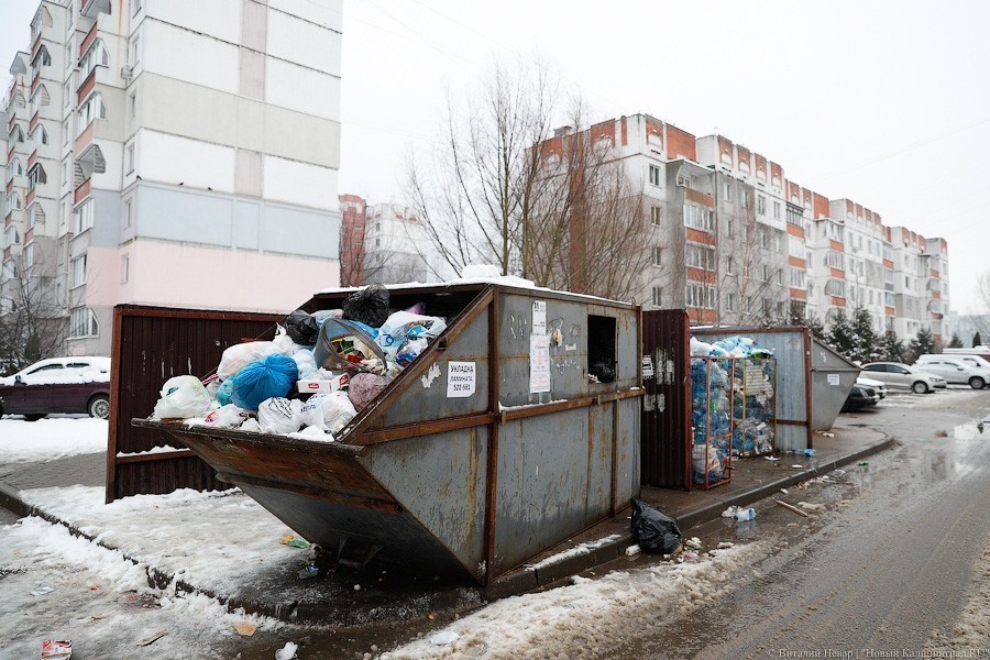 Областные власти выделили 5 муниципалитетам 24 млн на закупку мусорных контейнеров
