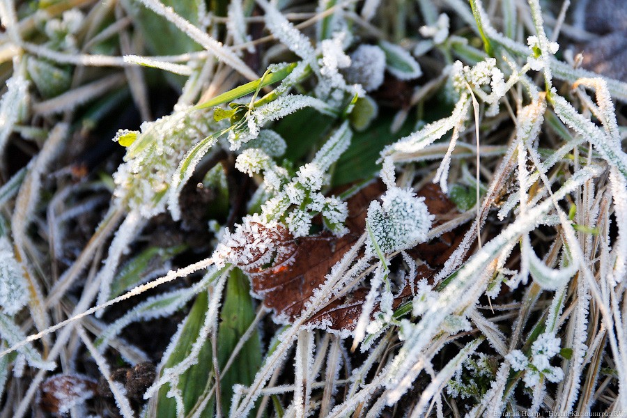 МЧС: в ночь на воскресенье температура в Калининградской области опустится до -13