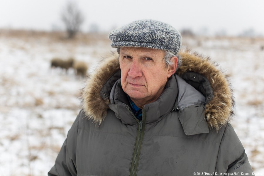 Фермер Сергей Семенов: «Тринадцать минут — и с барана китель снят»