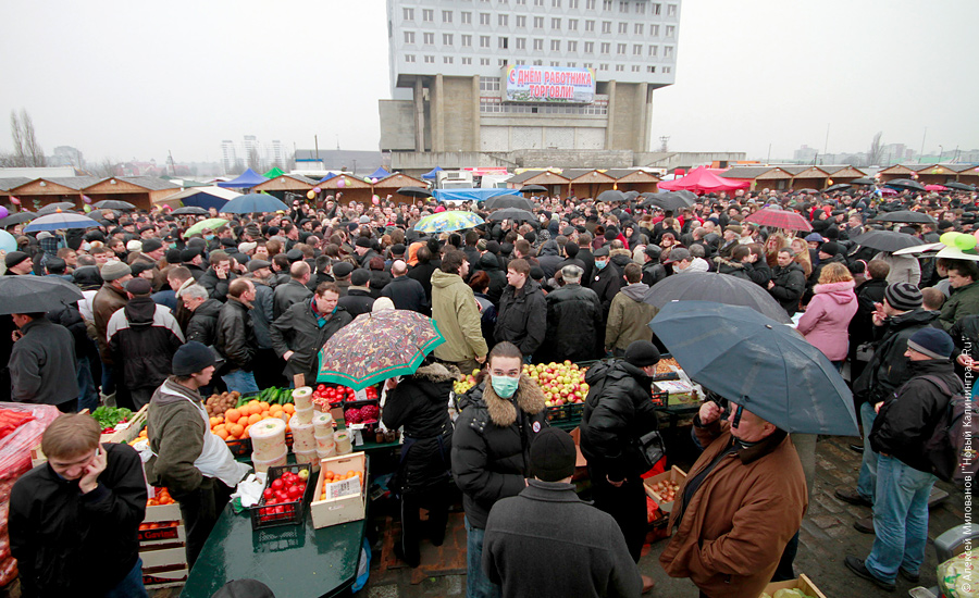 "Еле митинг": фоторепортаж "Нового Калининграда.Ru"