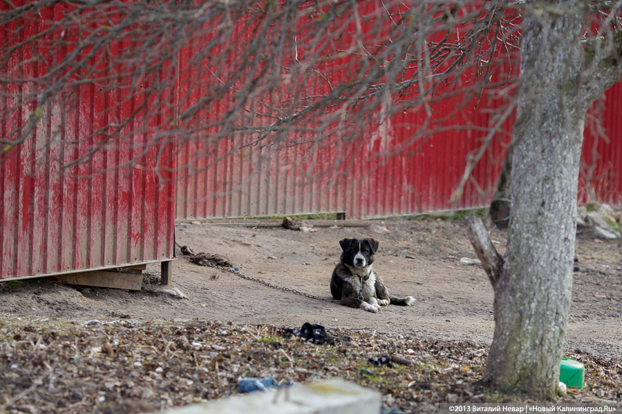 «У РПЦ свои законы»: рядом с кирхой Арнау появился двухэтажный дом (+фото)