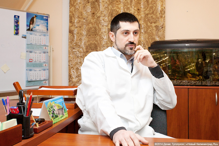 Доктор Лиза о хосписе в Калининграде: «Я в ужасе от вашего правительства»