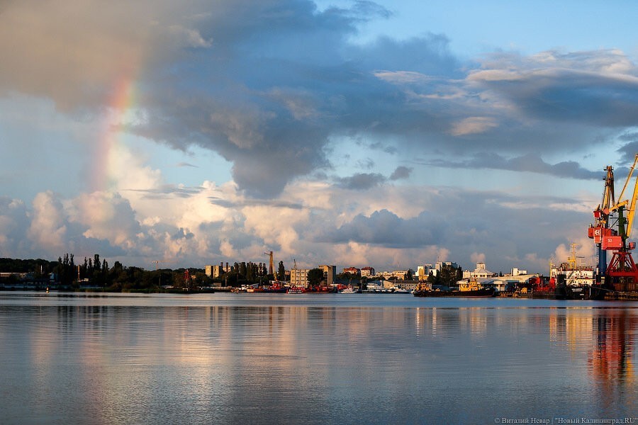 Минприроды: вода в промышленной зоне Преголи стала не загрязненной, а грязной