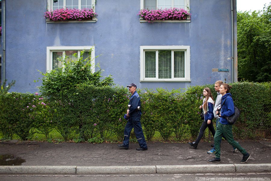 Музыка под балконом: в Калининграде прошёл фестиваль «Когда звучат улицы»