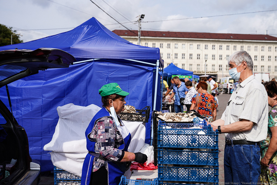 Базар-вокзал: как проходит сельхозярмарка на площади Победы в Калининграде