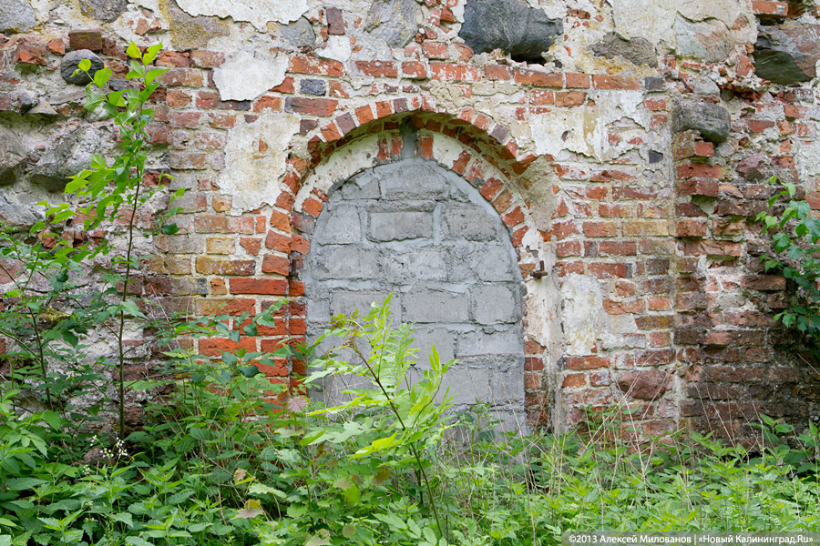 Легенды и лягушки: кирха в поселке Ново-Московское обрастает мхом и преданиями