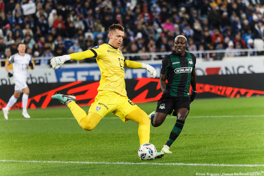 Ничья почти равна победе: как «Балтика» пободалась с «Краснодаром» (фото)