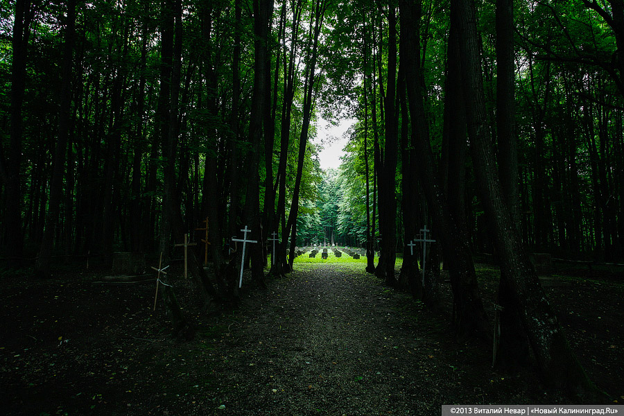 По следам Первой мировой: захоронение в пос. Совхозное Нестеровского района