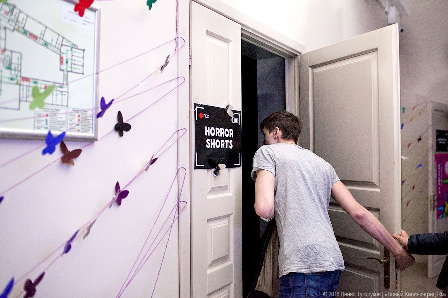 Ночью в университете: как прошла «Cinema Night» в БФУ им. Канта  