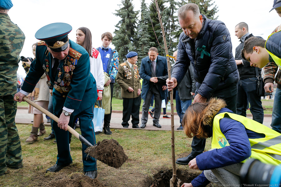 «Давай сюда следующих ветеранов»: в Калининграде стартовал новый сезон Победы