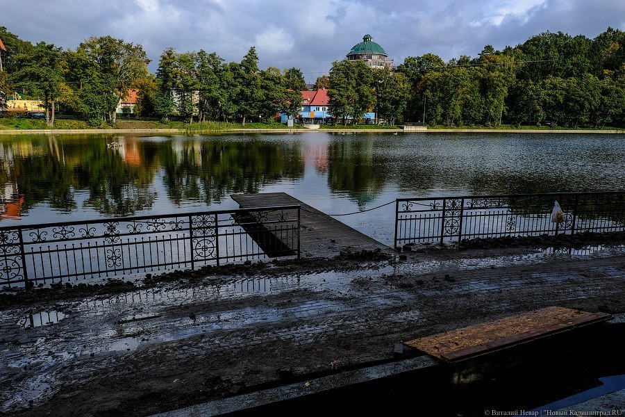 Муза освоения: как за федеральные деньги благоустраивают парк в Светлогорске