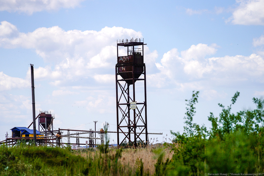 «Не врите мне»: фекалии в воде не портят отдых калининградским купальщикам (фото)
