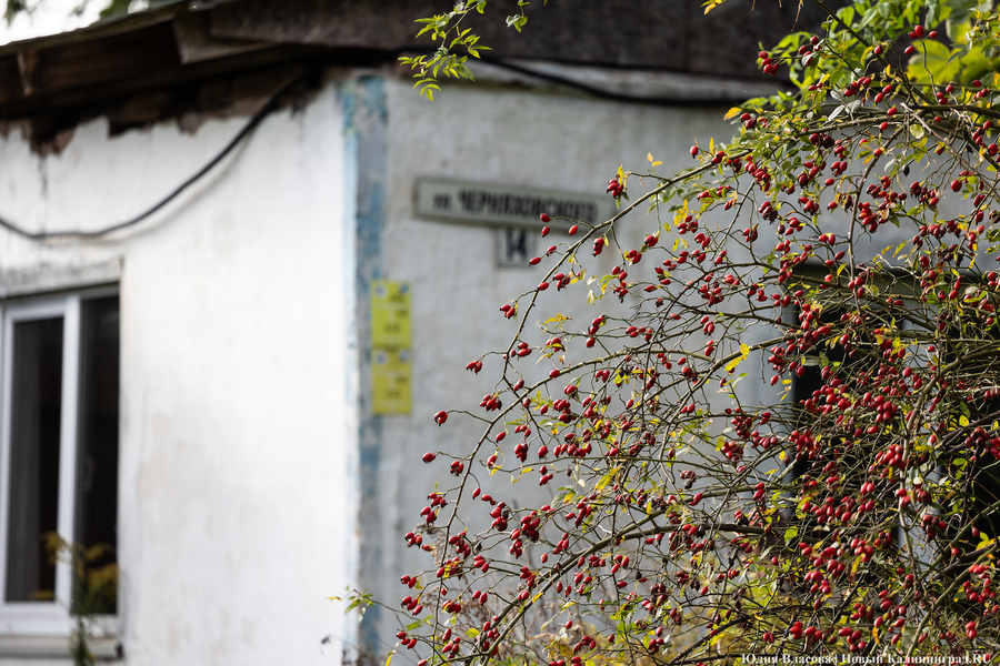 От умеренности до осадков: прогноз погоды в Калининграде на неделю 