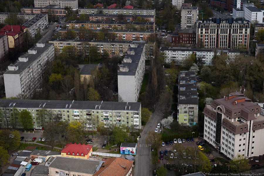 Фото: Виталий Невар / Новый Калининград