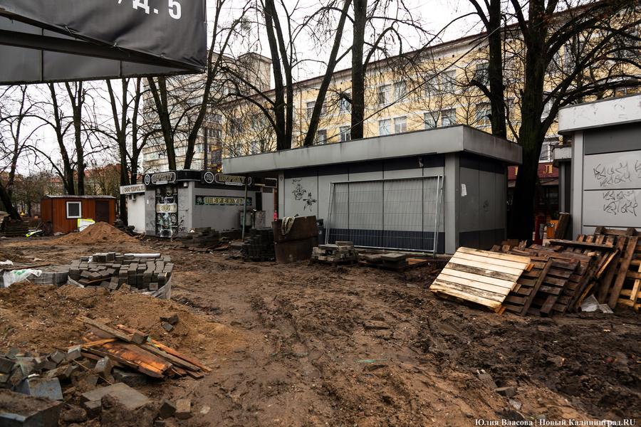 50 оттенков коричневого: как выглядит после ремонта Фестивальная аллея (фото)