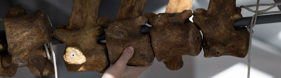 jcgupqtepz3dy7b9mku8utgbhw4x3q0f (1).jpg jcgupqtepz3dy7b9mku8utgbhw4x3q0f (1).jpg