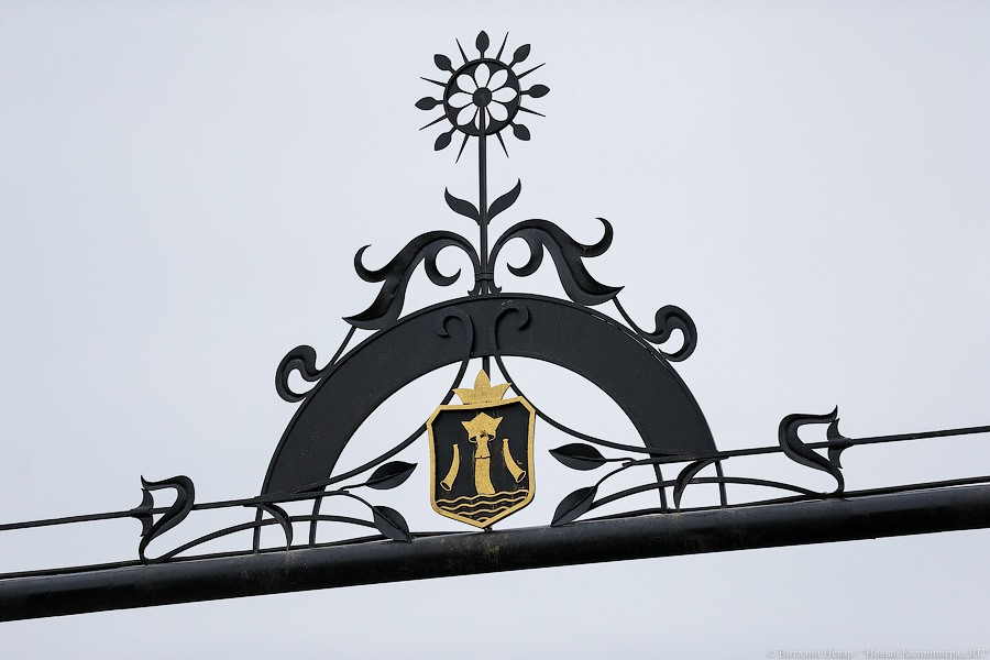 _NEV8255.jpg _NEV8255.jpg