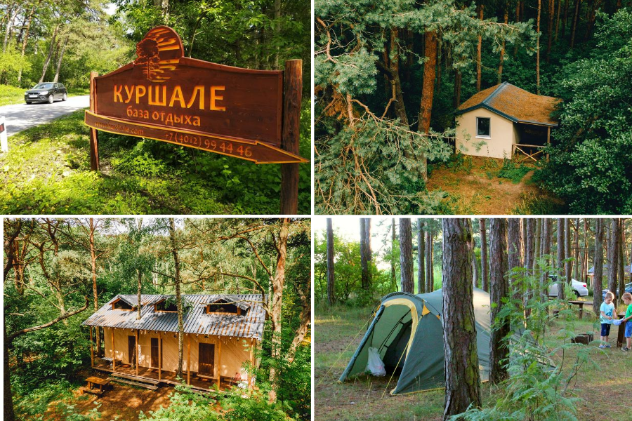 Дизайн без названия (2).png