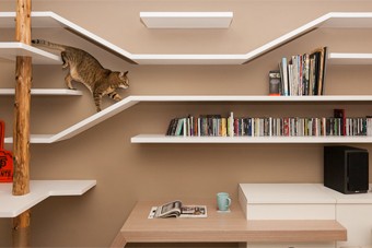 cats_2.jpg cats_2.jpg