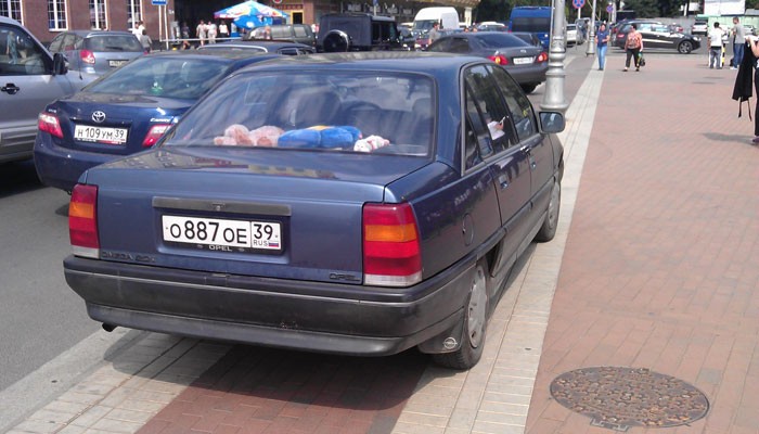 IMAG0520.jpg