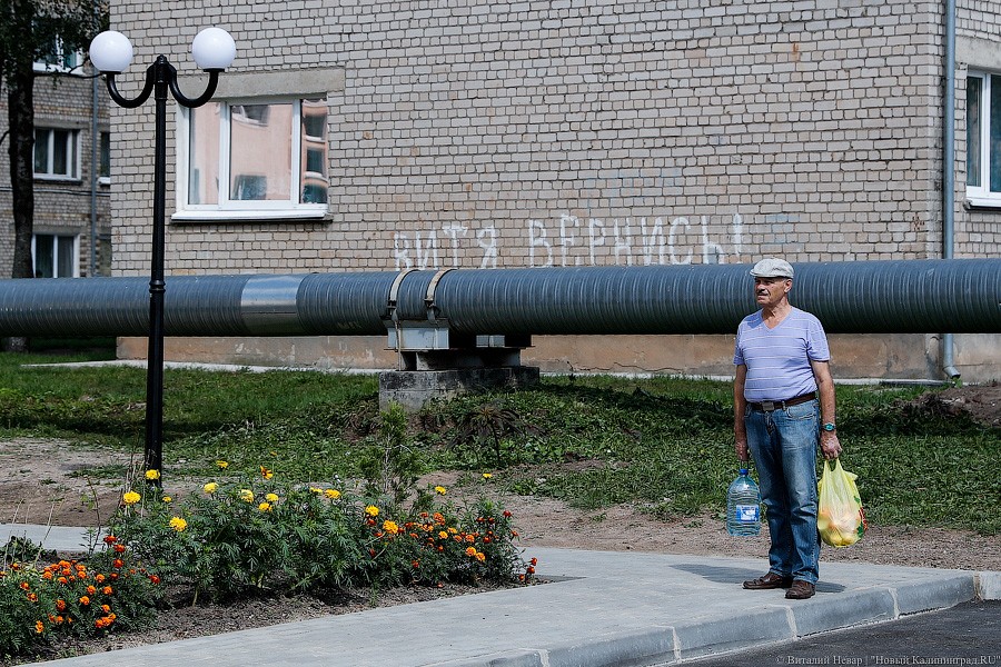 _NEV2415.jpg _NEV2415.jpg