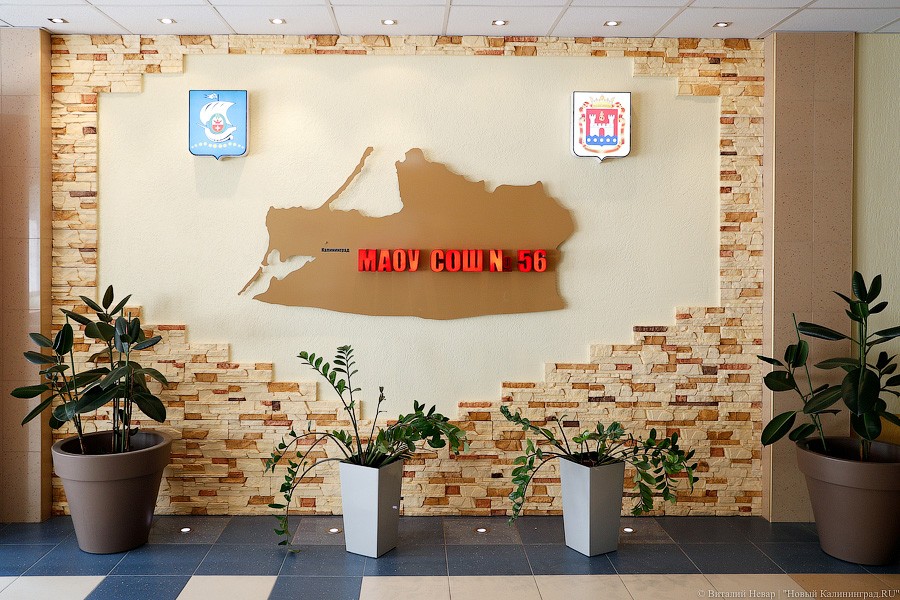 _NEV5558.jpg _NEV5558.jpg