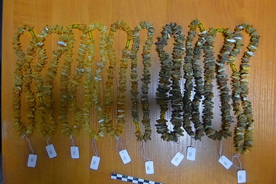 P1060153.JPG