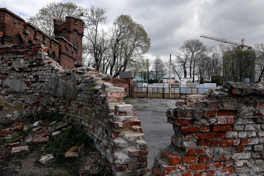 _NEV4841.jpg _NEV4841.jpg