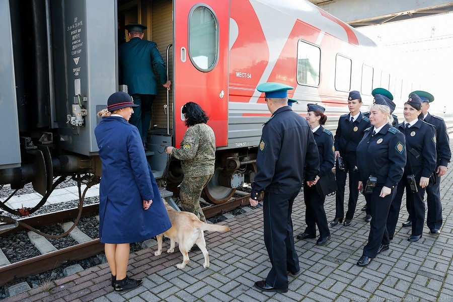 _NEV5155.jpg _NEV5155.jpg