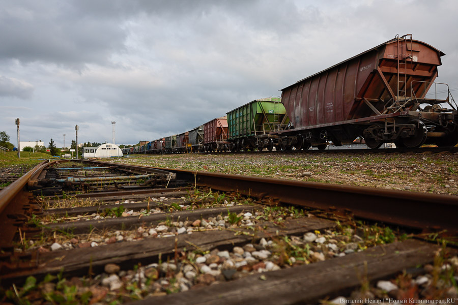 _NVR6048.jpg _NVR6048.jpg