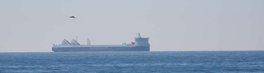 _NVR4895-2_cr.jpg _NVR4895-2_cr.jpg